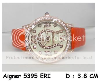Aigner5395ERIRp200000.jpg