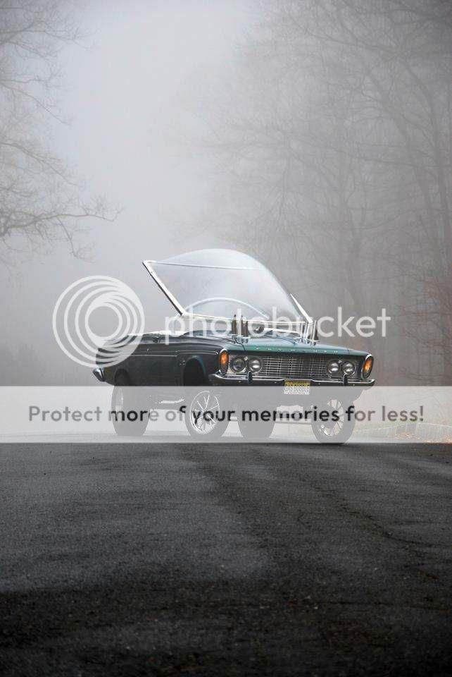 481687_432832183468081_737716990_n_zps9b