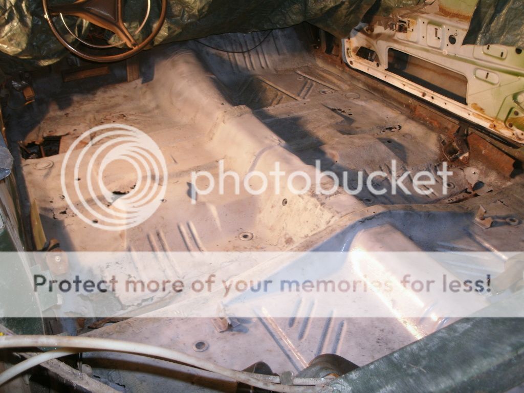 Posted Image